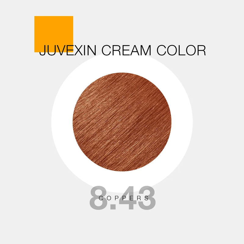 GK Hair Juvexin Cream Color 8.43 Coppers swatch card, circular hair sample in rich copper auburn