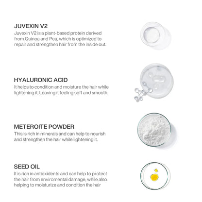 Lightening Powder Masque Pro